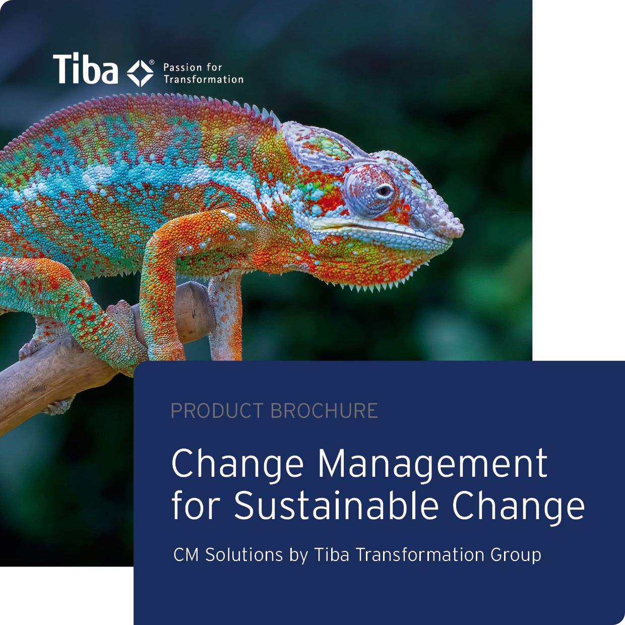 Change Management for Sustainable Change